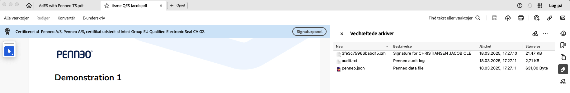 QES signature - DK.png