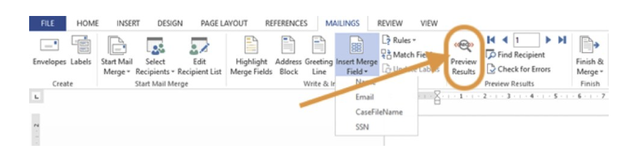 Preview Results interface in Word